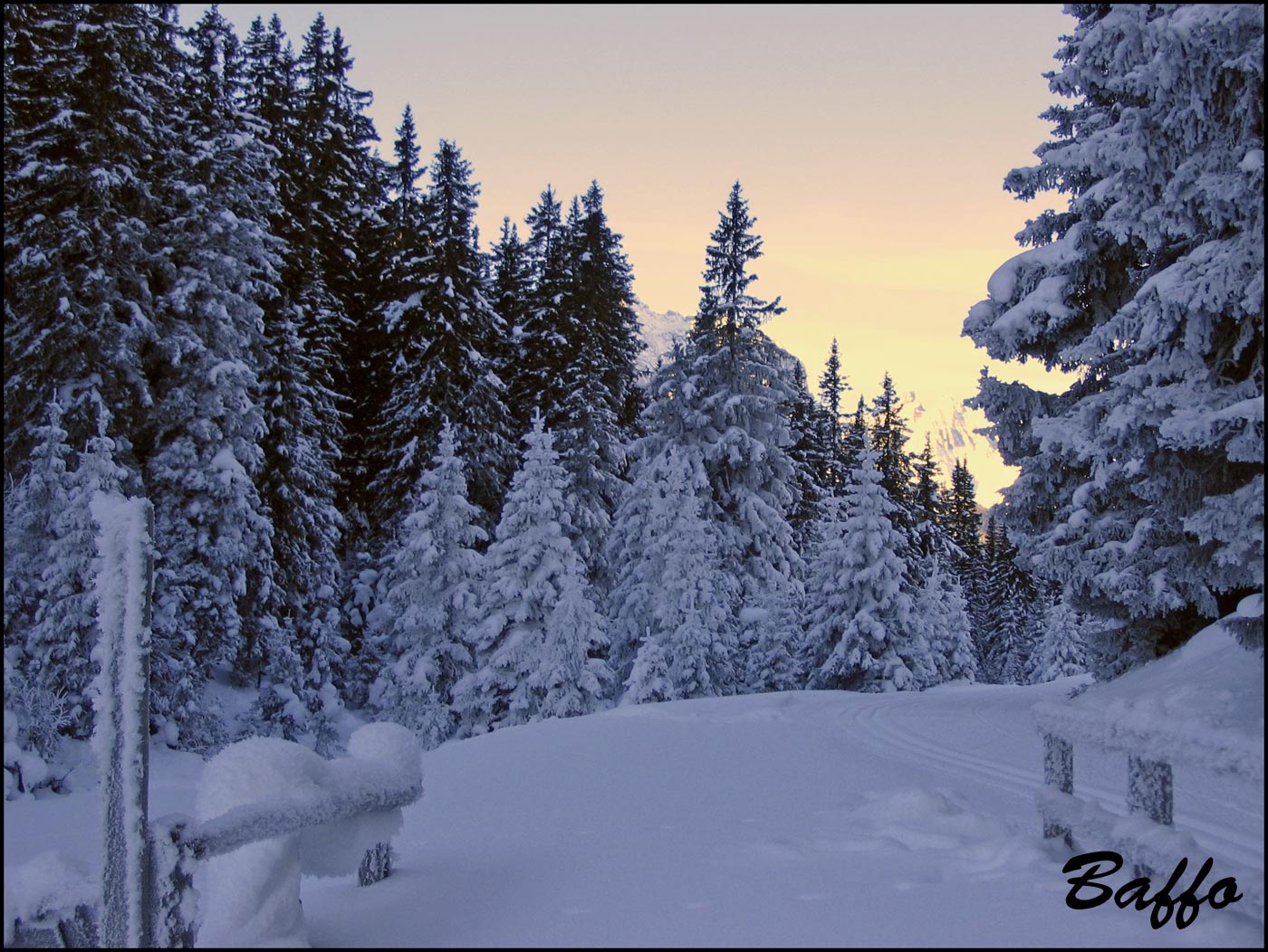 Alberi d''inverno... un invito